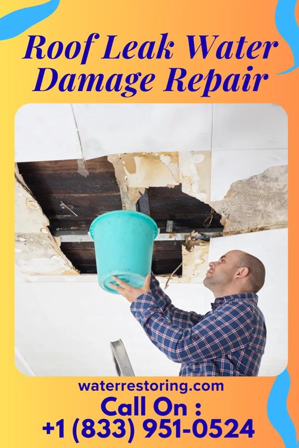 Roof Leak Water Damage Repair in Grand River, IA